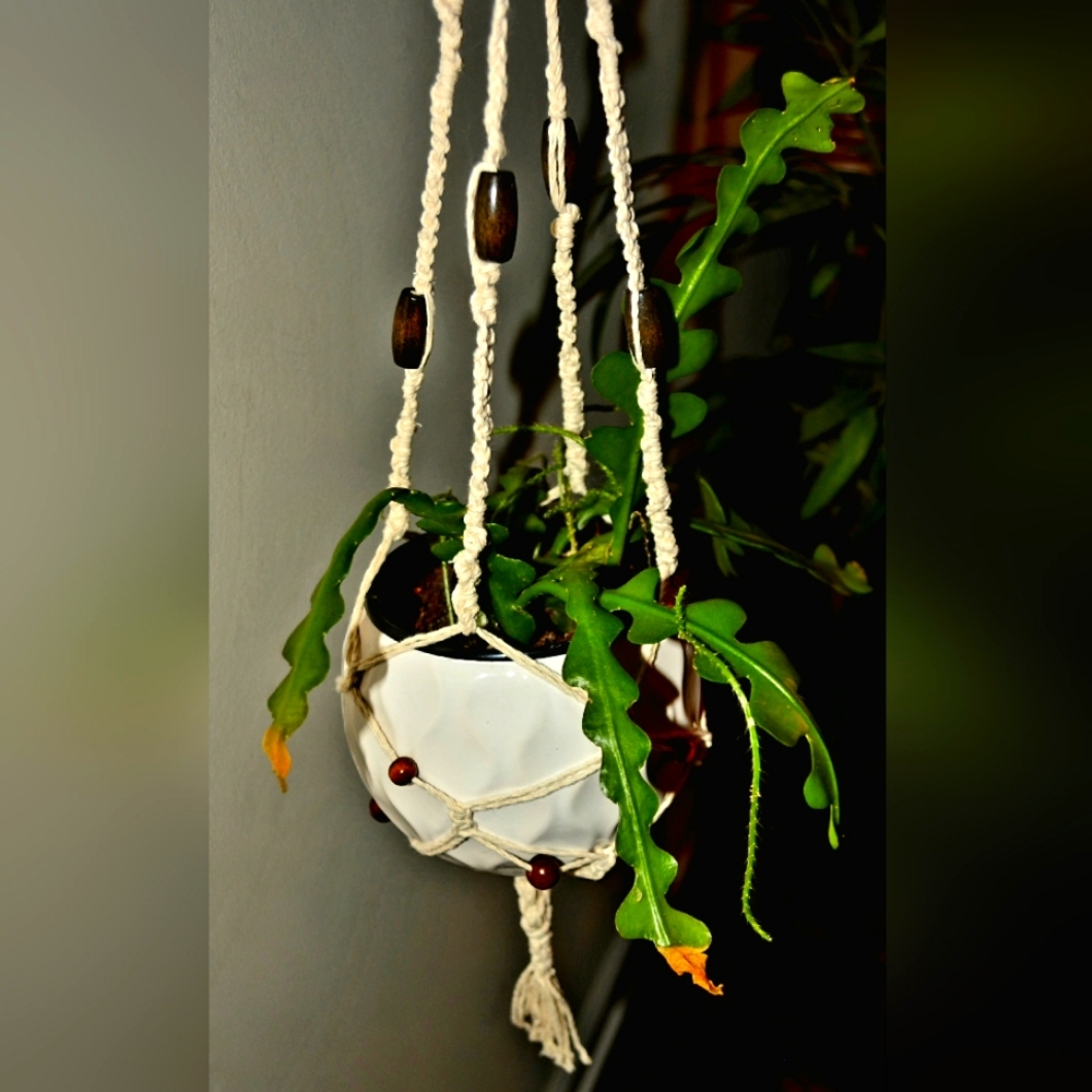 Handmade Beaded Macrame Plant Hanger
